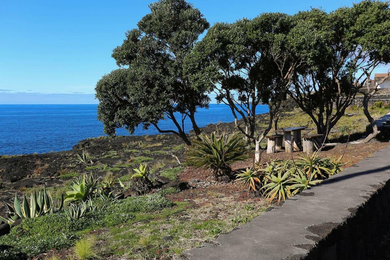 Casa D'Avo Francisco Pensionat Madalena  Eksteriør billede