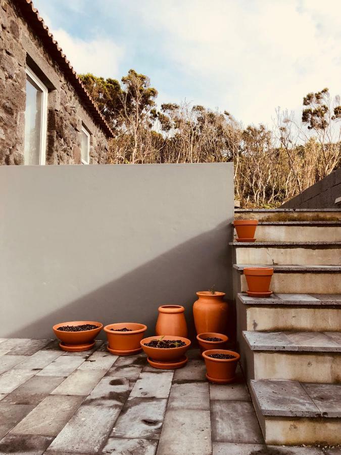 Casa D'Avo Francisco Pensionat Madalena  Eksteriør billede